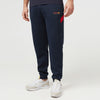 RED BULL RACING MENS SWEAT PANTS