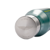Aston Martin F1 Team Water Bottle
